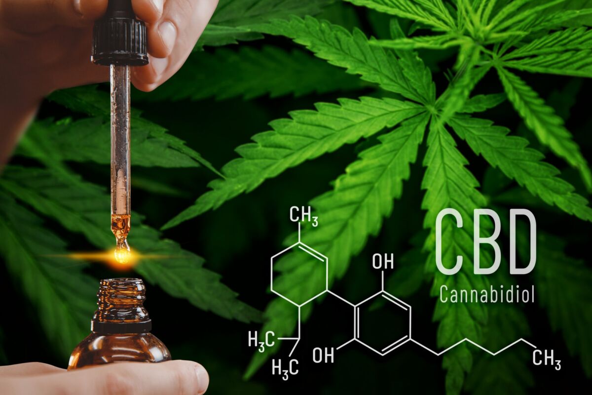 Kate Shemirani Dee Mani Mitchell Creation Based Healing With CBD 