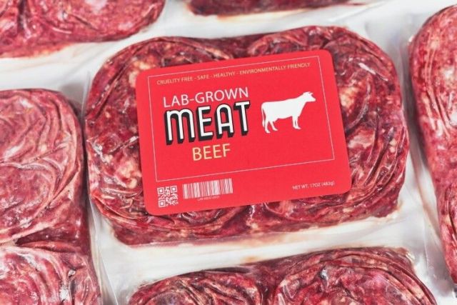 Fake Meat Is All About Controlling The Food Supply (Video)