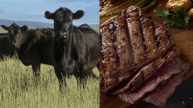 As Bill Gates Ponders AI-Genetically Modified Beef & Cows Are Mysteriously Dying, All-American Company Steps Up With Solution