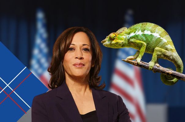 Kama-Chameleon: Compilation of Kamala Harris Lying About Her Policies (Video)