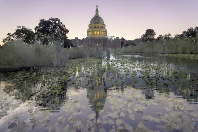 The Swamp & Education: Where Will We Go Now? (Video)