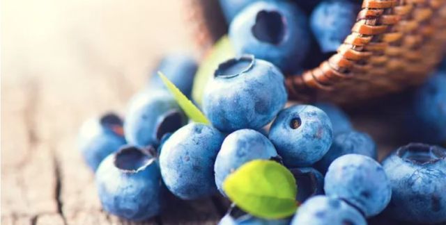 Blueberries Help Lower Blood Pressure