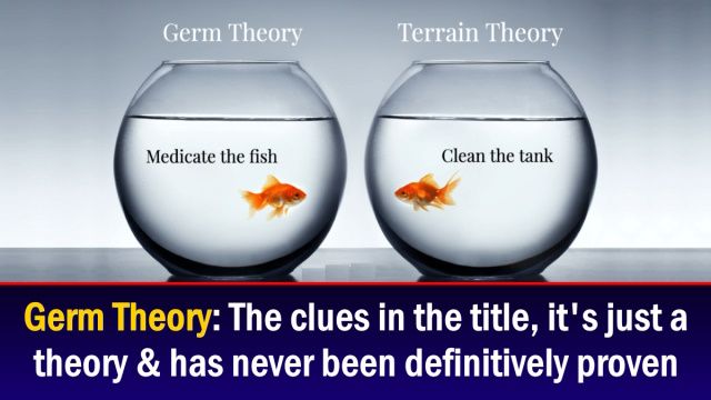 Germ Theory Vs. Terrain Theory: Why You’ve Likely Only Heard Of The First Theory